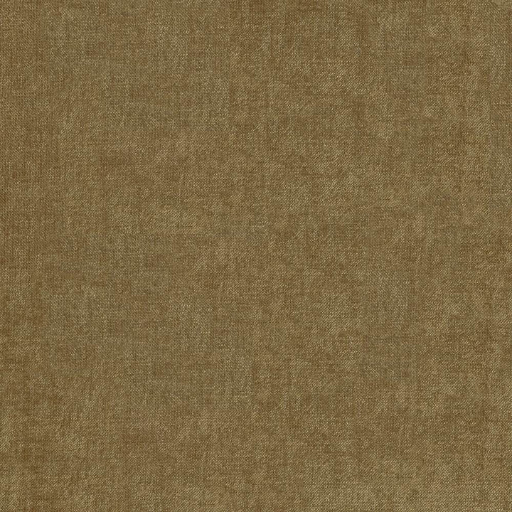 Vestige Beaver by Kasmir Fabric 5051 100% Polyester
 CHINA </p><p>Repeat: Horizontal: N/A and Vertical: N/A 55 - Fabric Carolina -