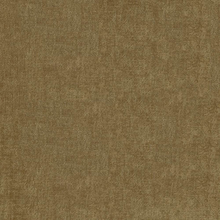Vestige Beaver  by Kasmir Fabric See sample 100% Polyester
 CHINA 30,000 Wyzenbeek Double Rubs </p><p>Repeat: Horizontal: N/A and Vertical: N/A 55  - Fabric Carolina -