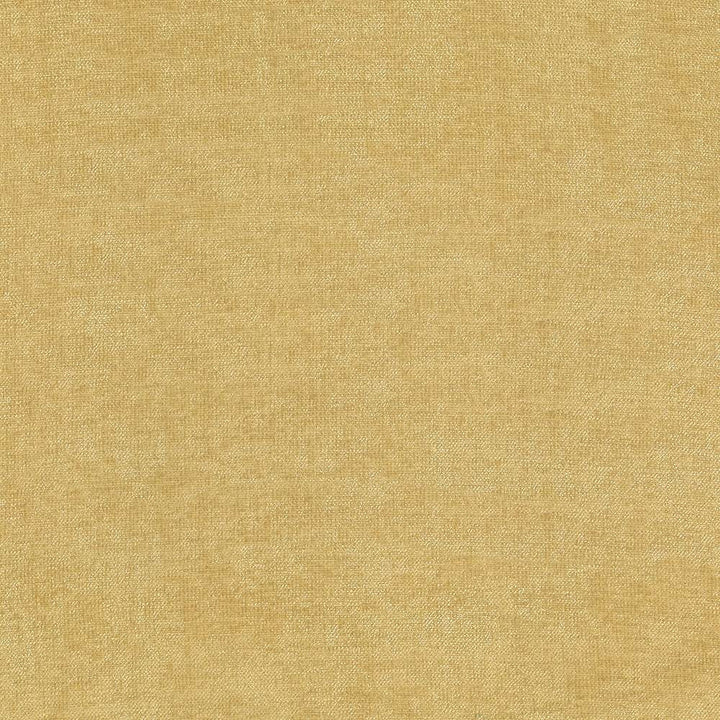 Vestige Honey by Kasmir Fabric 5051 100% Polyester
 CHINA </p><p>Repeat: Horizontal: N/A and Vertical: N/A 55 - Fabric Carolina -