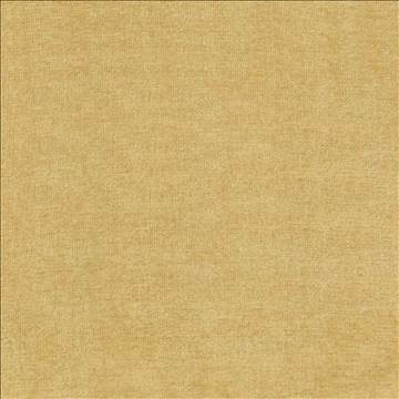 Vestige Honey by Kasmir Fabric 5051 100% Polyester CHINA 30,000 Wyzenbeek Double Rubs H: N/A, V: N/A 55 - Fabric Carolina - Kasmir