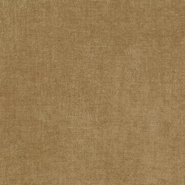 Vestige Latte by Kasmir Fabric 5051 100% Polyester
 CHINA 30,000 Wyzenbeek Double Rubs Horizontal: N/A and Vertical: N/A 55 - Fabric Carolina -