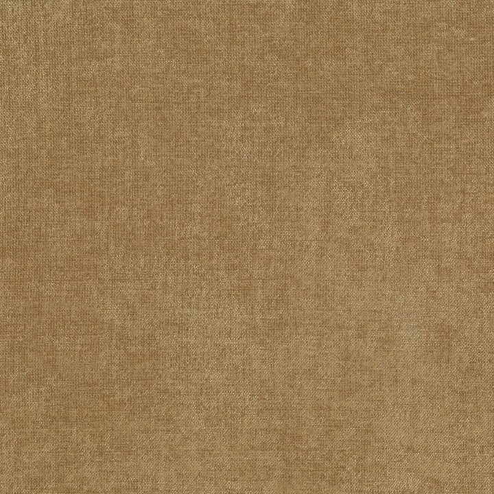 Vestige Latte by Kasmir Fabric 5051 100% Polyester
 CHINA </p><p>Repeat: Horizontal: N/A and Vertical: N/A 55 - Fabric Carolina -
