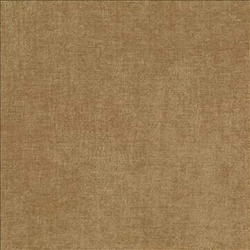 Vestige Latte by Kasmir Fabric 5051 100% Polyester CHINA 30,000 Wyzenbeek Double Rubs H: N/A, V: N/A 55 - Fabric Carolina - Kasmir