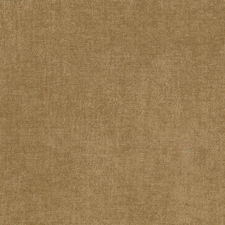Vestige Latte by Kasmir Fabric 5051 CHINA 30,000 Wyzenbeek Double Rubs H: N/A, V:N/A 55 - Fabric Carolina - Kasmir