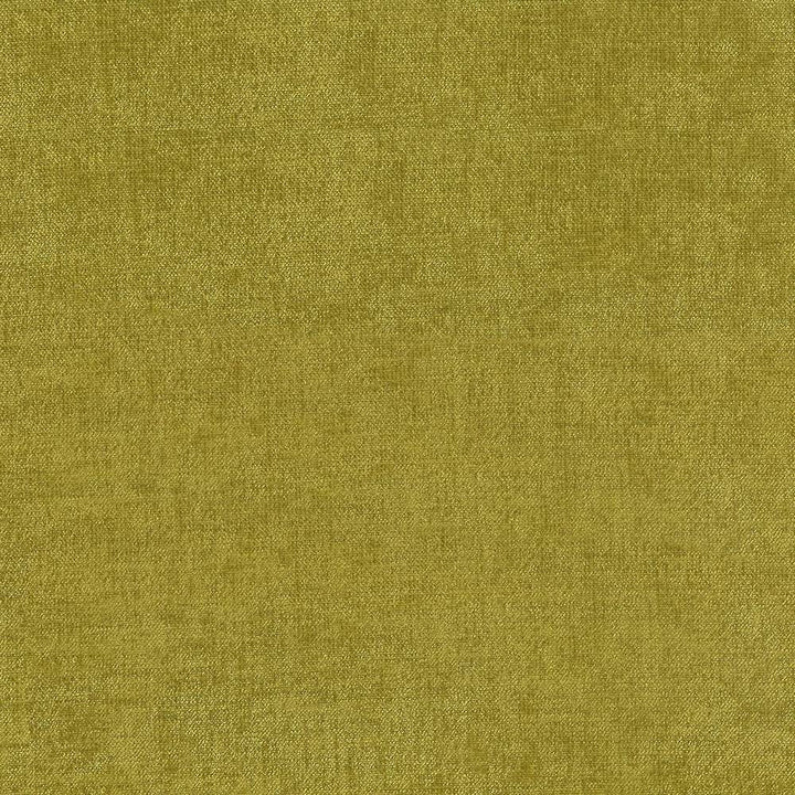 Vestige Lemongrass by Kasmir Fabric 5051 CHINA 30,000 Wyzenbeek Double Rubs H: N/A, V:N/A 55 - Fabric Carolina - Kasmir