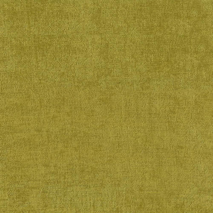 Vestige Lemongrass by Kasmir Fabric 5051 100% Polyester
 CHINA </p><p>Repeat: Horizontal: N/A and Vertical: N/A 55 - Fabric Carolina -