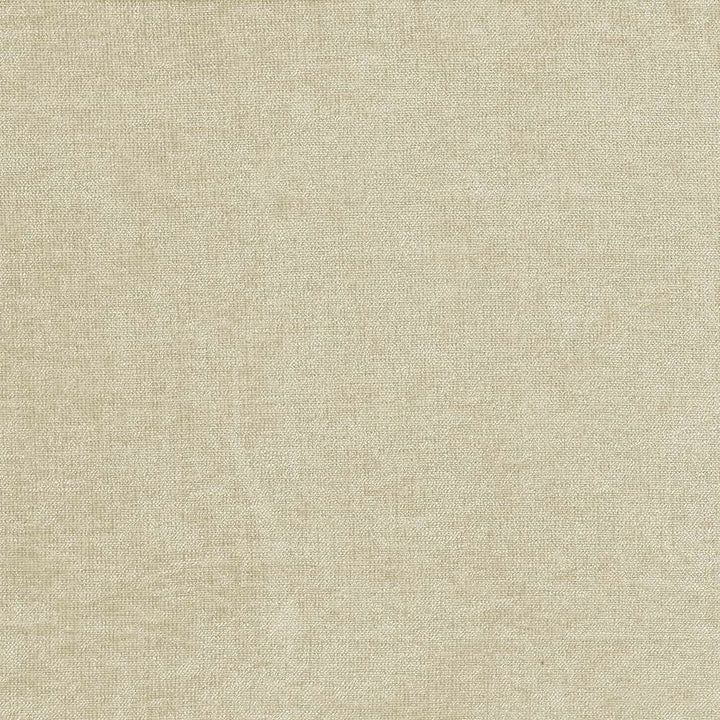 Vestige Platinum by Kasmir Fabric 5051 100% Polyester
 CHINA 30,000 Wyzenbeek Double Rubs </p><p>Repeat: Horizontal: N/A and Vertical: N/A 55 - Fabric Carolina -