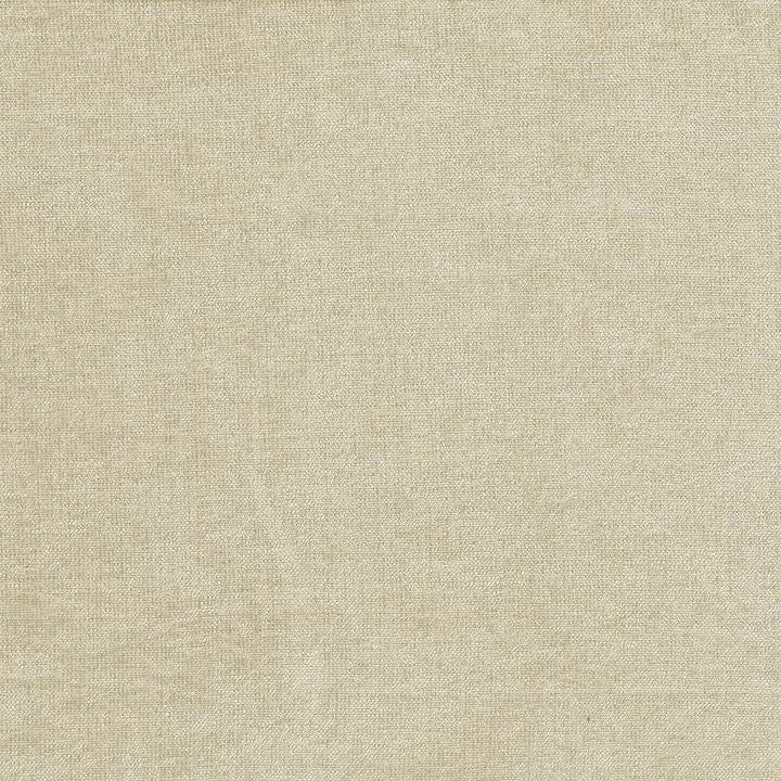 Vestige Platinum by Kasmir Fabric 5051 100% Polyester
 CHINA </p><p>Repeat: Horizontal: N/A and Vertical: N/A 55 - Fabric Carolina -