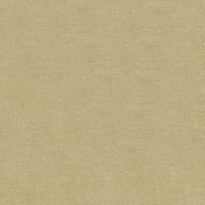 Vestige Pumice by Kasmir Fabric 5051 100% Polyester
 CHINA 30,000 Wyzenbeek Double Rubs Horizontal: N/A and Vertical: N/A 55 - Fabric Carolina -