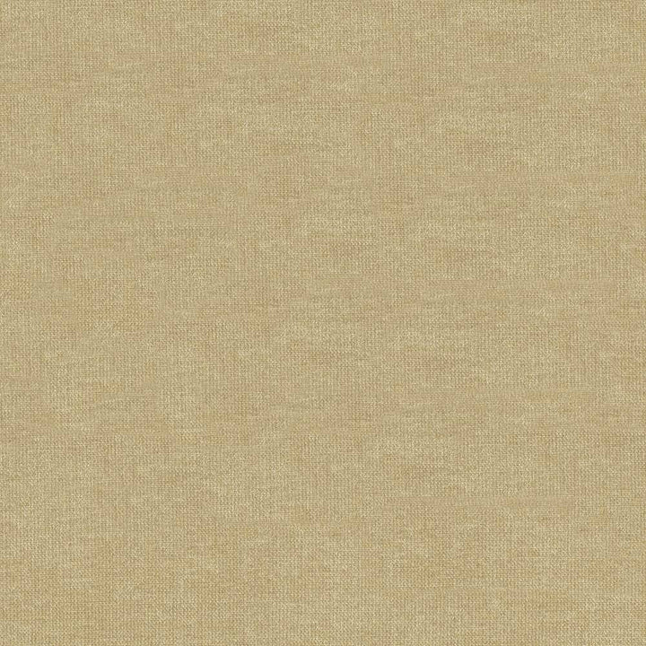 Vestige Pumice by Kasmir Fabric 5051 CHINA 30,000 Wyzenbeek Double Rubs H: N/A, V:N/A 55 - Fabric Carolina - Kasmir