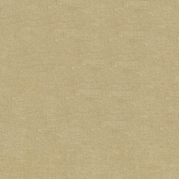 Vestige Pumice by Kasmir Fabric 5051 100% Polyester
 CHINA </p><p>Repeat: Horizontal: N/A and Vertical: N/A 55 - Fabric Carolina -