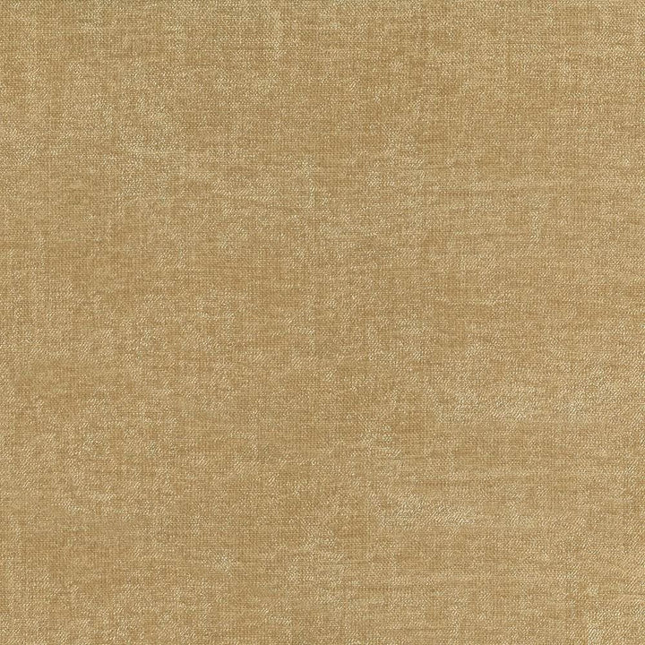 Vestige Sandstone  by Kasmir Fabric See sample 100% Polyester
 CHINA 30,000 Wyzenbeek Double Rubs </p><p>Repeat: Horizontal: N/A and Vertical: N/A 55  - Fabric Carolina -