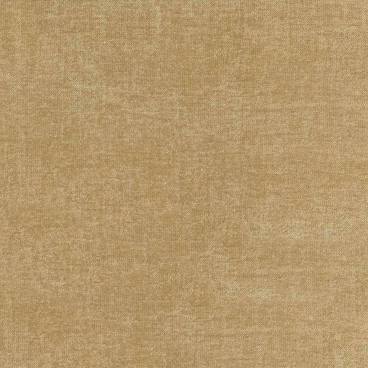 Vestige Sandstone by Kasmir Fabric 5051 CHINA 30,000 Wyzenbeek Double Rubs H: N/A, V:N/A 55 - Fabric Carolina - Kasmir