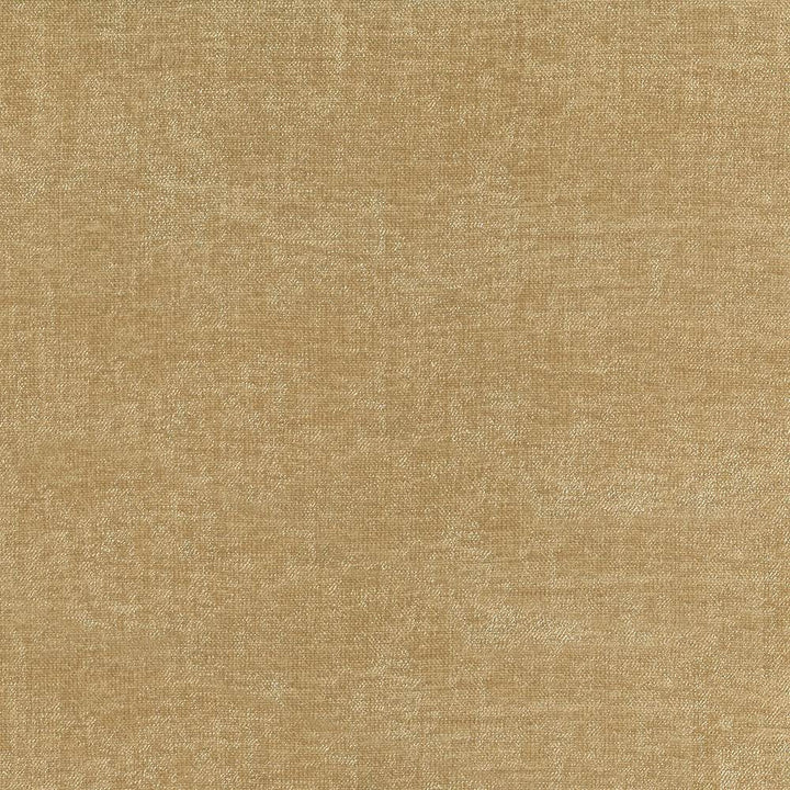 Vestige Sandstone by Kasmir Fabric 5051 100% Polyester
 CHINA </p><p>Repeat: Horizontal: N/A and Vertical: N/A 55 - Fabric Carolina -