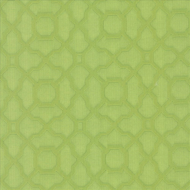 Vichy Lime by Kasmir Fabric 5099 61% Cotton
39% Polyester
 CHINA 42,000 Wyzenbeek Double Rubs Horizontal: 3 4/8 inches and Vertical: 3 4/8 inches 56 - Fabric Carolina -