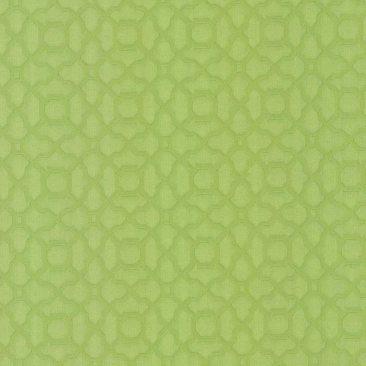 Vichy Lime by Kasmir Fabric 5099 CHINA 42,000 Wyzenbeek Double Rubs H: 3 4/8 inches, V:3 4/8 inches 56 - Fabric Carolina - Kasmir