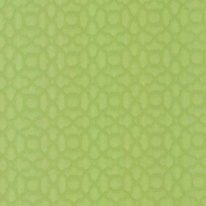Vichy Lime by Kasmir Fabric