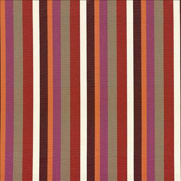 Vindu Stripe Anemone by Kasmir Fabric 5064 100% Cotton INDIA 15,000 Wyzenbeek Double Rubs H: 9 inches, V: N/A 55 - 56 - Fabric Carolina - Kasmir