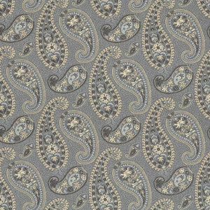 Vittorre Paisley Moonstone by Kasmir Fabric