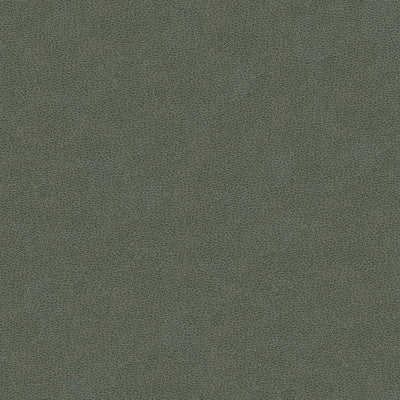 Kravet Design Volo-11 by Kravet Design Fabric