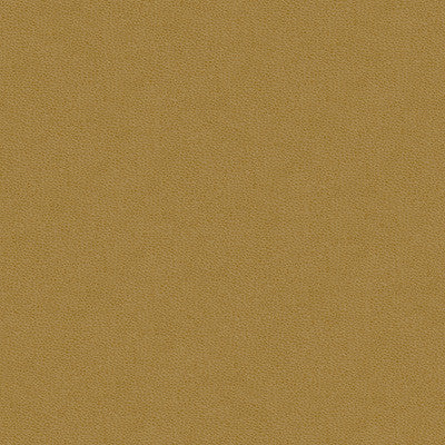 Kravet Design Volo-16 by Kravet Design Fabric