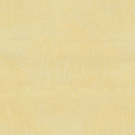 Voyager Ecru by Kravet Couture Fabric