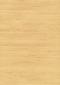Kravet Design W3038-14 by Kravet Design Wallcovering