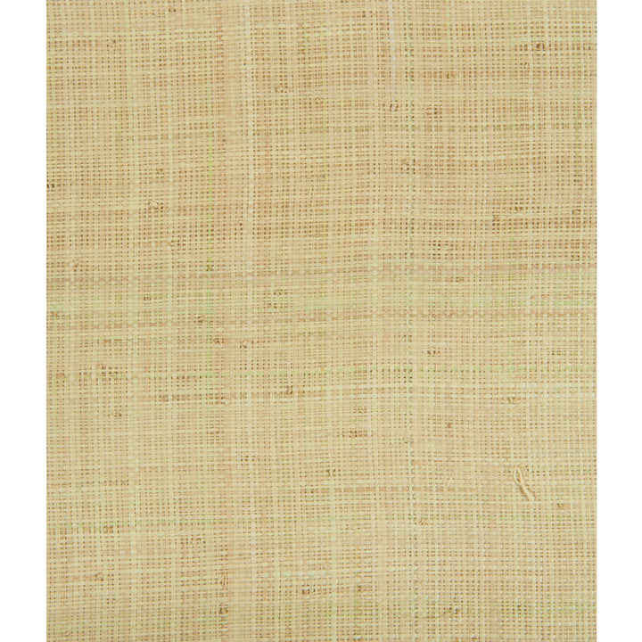 Beatrix Desert by Kravet Design Wallcovering