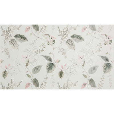 Owlish Blush by Kravet Design Wallcovering