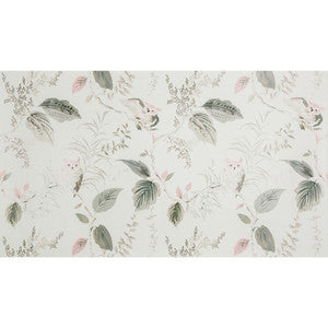 Owlish Blush by Kravet Design Wallcovering