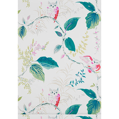 Owlish Multi by Kravet Design Wallcovering