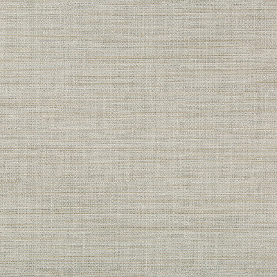 Faux Gras Graphite by Kravet Design Wallcovering