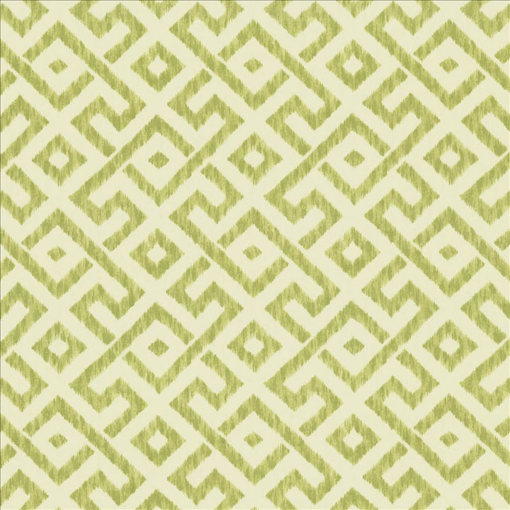 Wander Lichen by Kasmir Fabric 5142 100% Cotton
 TURKMENISTAN </p><p>Repeat: Horizontal: 9 inches and Vertical: 9 inches 54 - Fabric Carolina -