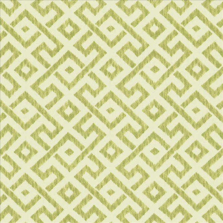 Wander Lichen  by Kasmir Fabric See sample 100% Cotton
 TURKMENISTAN 30,000 Wyzenbeek Double Rubs </p><p>Repeat: Horizontal: 9 inches and Vertical: 9 inches 54  - Fabric Carolina -