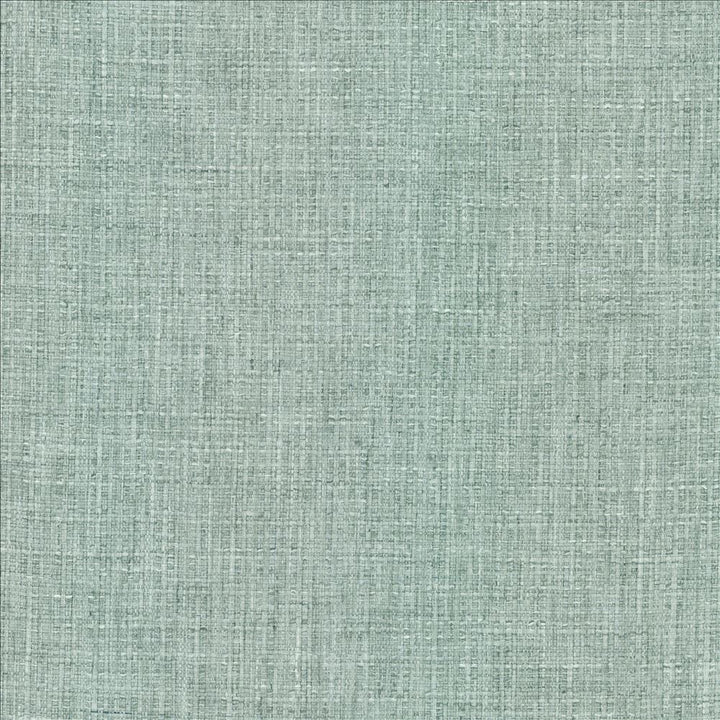 Watling Tiffany  by Kasmir Fabric 1474 100% Polyester  INDIA  </p><p>Repeat: Horizontal: N/A and Vertical: N/A 56  - Fabric Carolina -