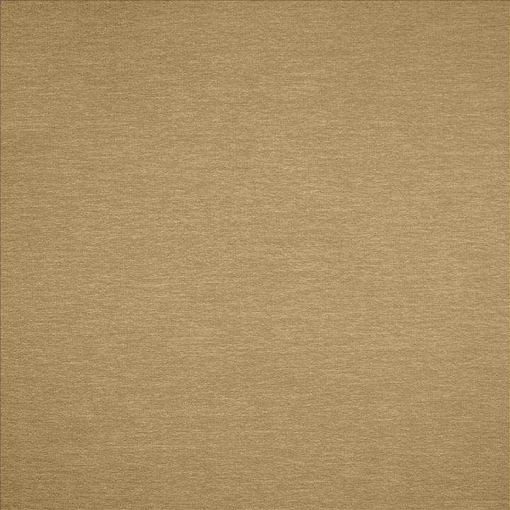 Watson Oatmeal by Kasmir Fabric 1466 100% Polyester
 INDIA 30,000 Wyzenbeek Double Rubs </p><p>Repeat: Horizontal: N/A and Vertical: N/A 54 - Fabric Carolina -