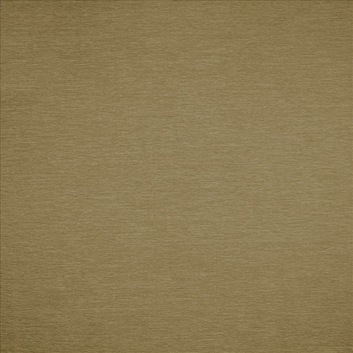 Watson Oatmeal by Kasmir Fabric 1466 100% Polyester
 INDIA </p><p>Repeat: Horizontal: N/A and Vertical: N/A 54 - Fabric Carolina -