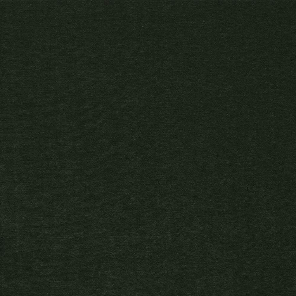 Watson Quartz by Kasmir Fabric 1466 100% Polyester
 INDIA </p><p>Repeat: Horizontal: N/A and Vertical: N/A 54 - Fabric Carolina -