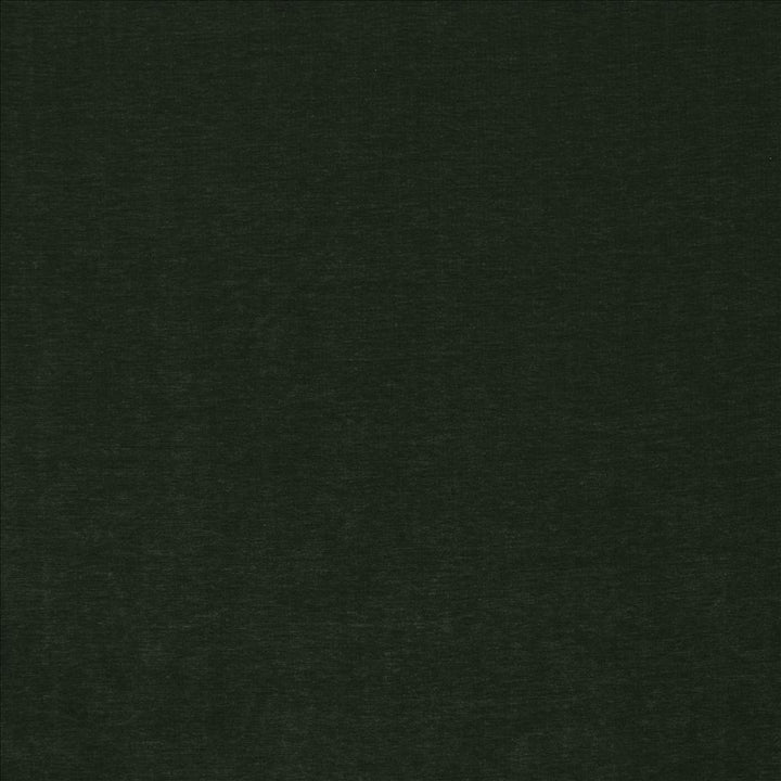 Watson Quartz by Kasmir Fabric 1466 100% Polyester
 INDIA </p><p>Repeat: Horizontal: N/A and Vertical: N/A 54 - Fabric Carolina -