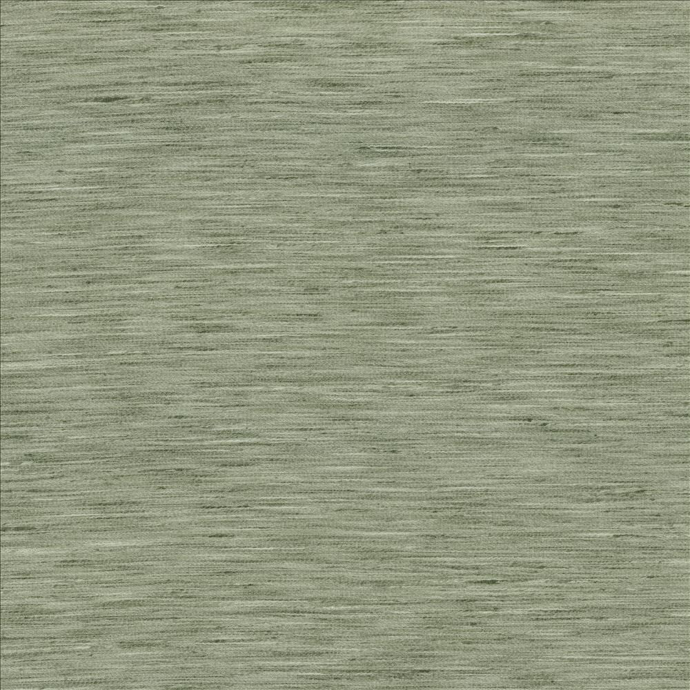 Waycrest Lichen by Kasmir Fabric 5181 100% Polyester
 INDIA </p><p>Repeat: Horizontal: N/A and Vertical: N/A 54 - Fabric Carolina -