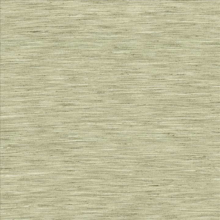 Waycrest Lichen by Kasmir Fabric 5181 100% Polyester
 INDIA Not Tested </p><p>Repeat: Horizontal: N/A and Vertical: N/A 54 - Fabric Carolina -