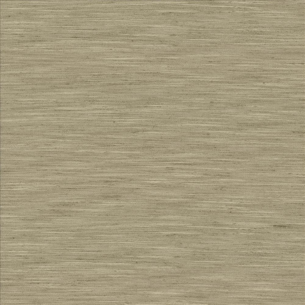 Waycrest Pewter by Kasmir Fabric 5181 100% Polyester
 INDIA </p><p>Repeat: Horizontal: N/A and Vertical: N/A 54 - Fabric Carolina -
