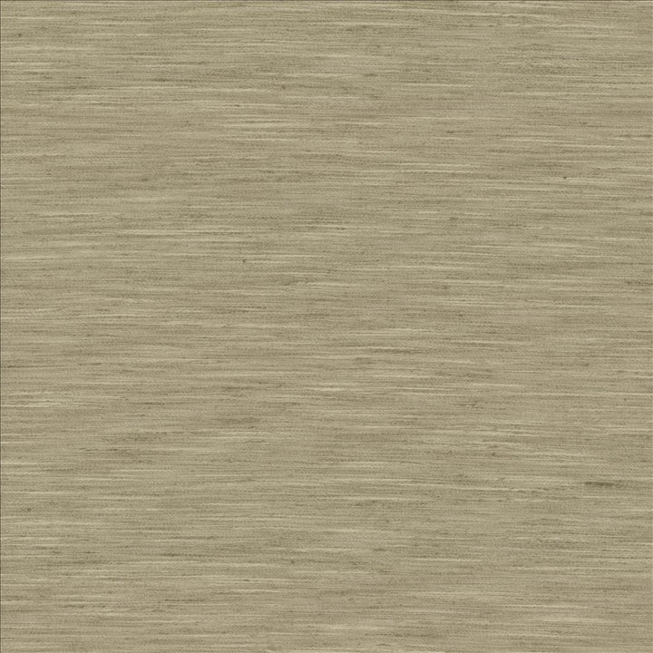 Waycrest Pewter by Kasmir Fabric 5181 100% Polyester
 INDIA </p><p>Repeat: Horizontal: N/A and Vertical: N/A 54 - Fabric Carolina -