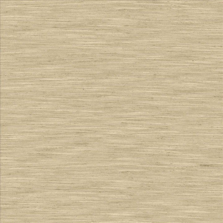 Waycrest Pewter by Kasmir Fabric 5181 100% Polyester
 INDIA Not Tested </p><p>Repeat: Horizontal: N/A and Vertical: N/A 54 - Fabric Carolina -