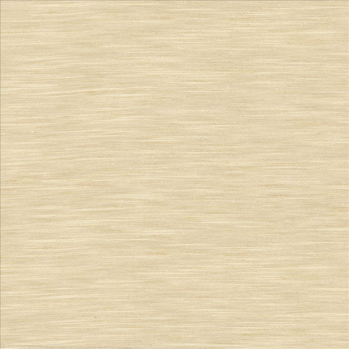 Waycrest Sand by Kasmir Fabric 5181 100% Polyester
 INDIA </p><p>Repeat: Horizontal: N/A and Vertical: N/A 54 - Fabric Carolina -