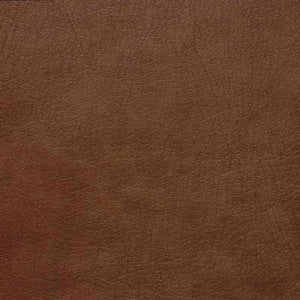 Wayfield-24 by Kravet Basics Fabric