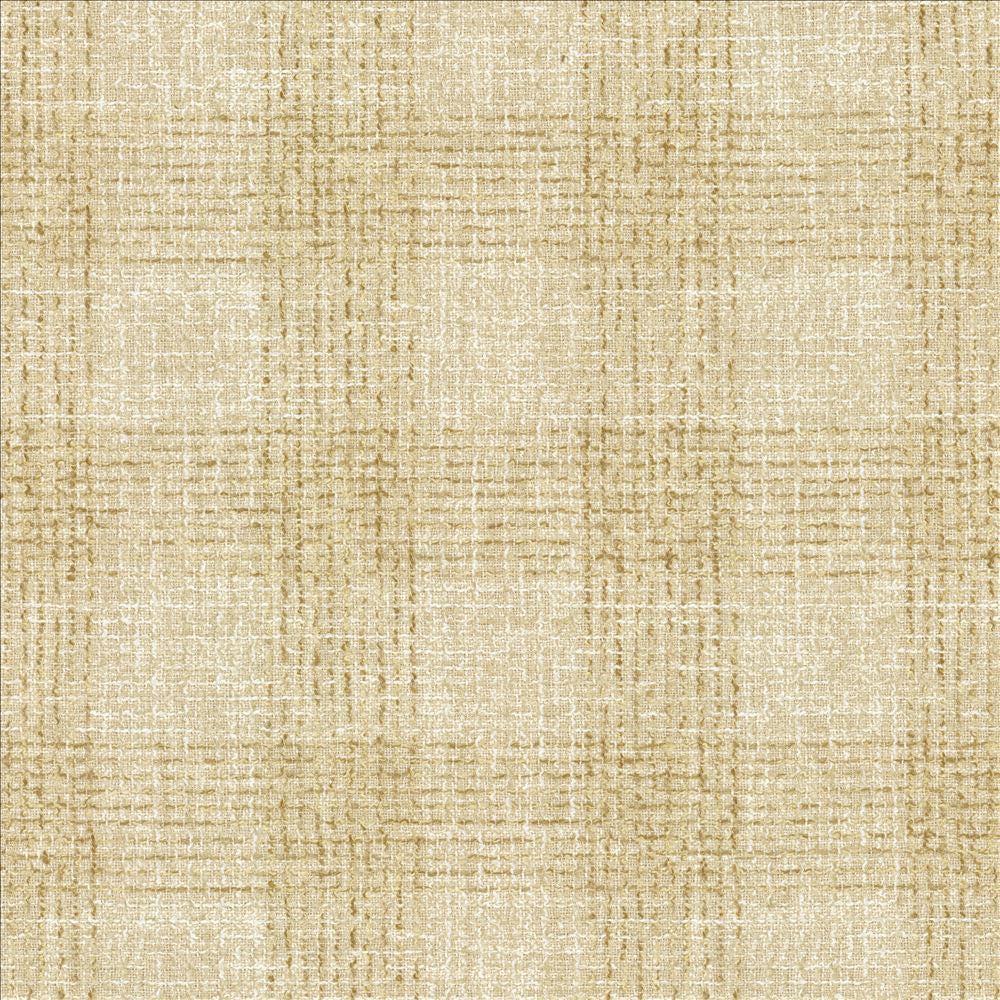 Well Off Natural by Kasmir Fabric 1471 41% Polyester
38% Cotton
21% Linen
 INDIA 50,000 Wyzenbeek Double Rubs </p><p>Repeat: Horizontal: 5 inches and Vertical: 5 inches 54 - Fabric Carolina -