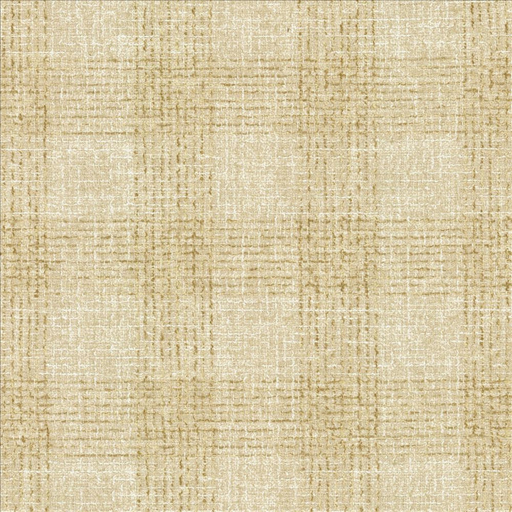 Well Off Natural by Kasmir Fabric 1471 41% Polyester
38% Cotton
21% Linen
 INDIA 50,000 Wyzenbeek Double Rubs </p><p>Repeat: Horizontal: 5 inches and Vertical: 5 inches 54 - Fabric Carolina -