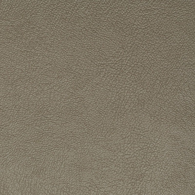 Teresina Husk by Winfield Thybony Wallcovering