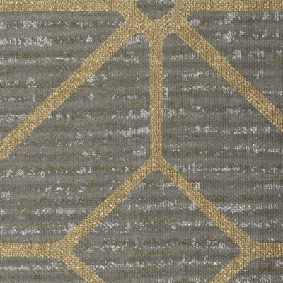 Radius Trellis Graphite by Winfield Thybony Wallcovering